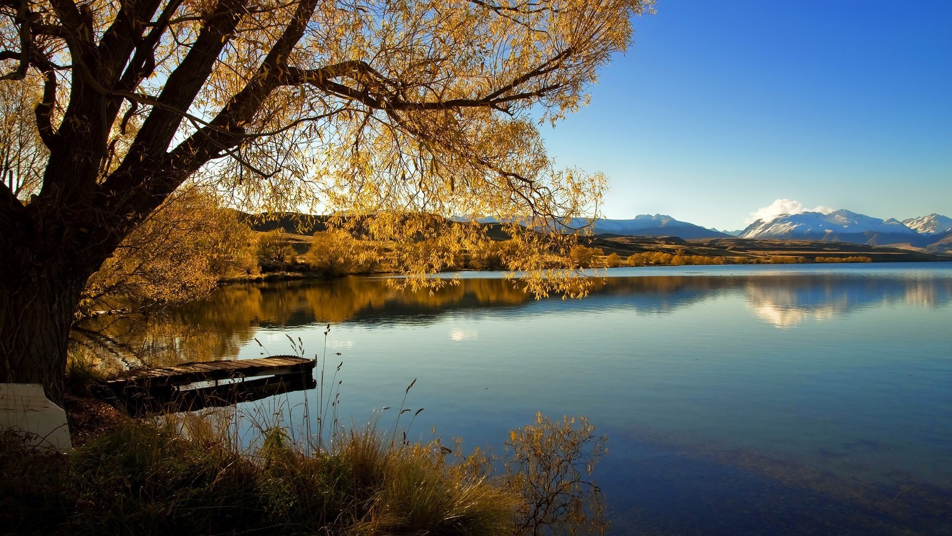 世界登山青年导师生态课堂全国示范网络第七批扩容公布,世界登山协会